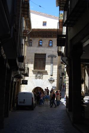 Morella 11